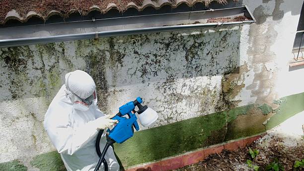 Top rated local Attic Mold Removal specialists in Lovettsville, VA